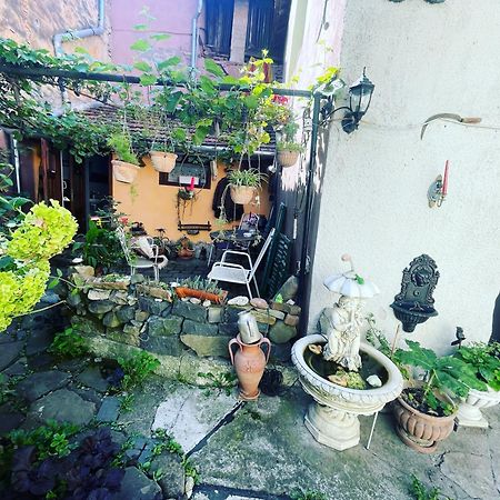 דירות סיגישוארה Casa Morar מראה חיצוני תמונה